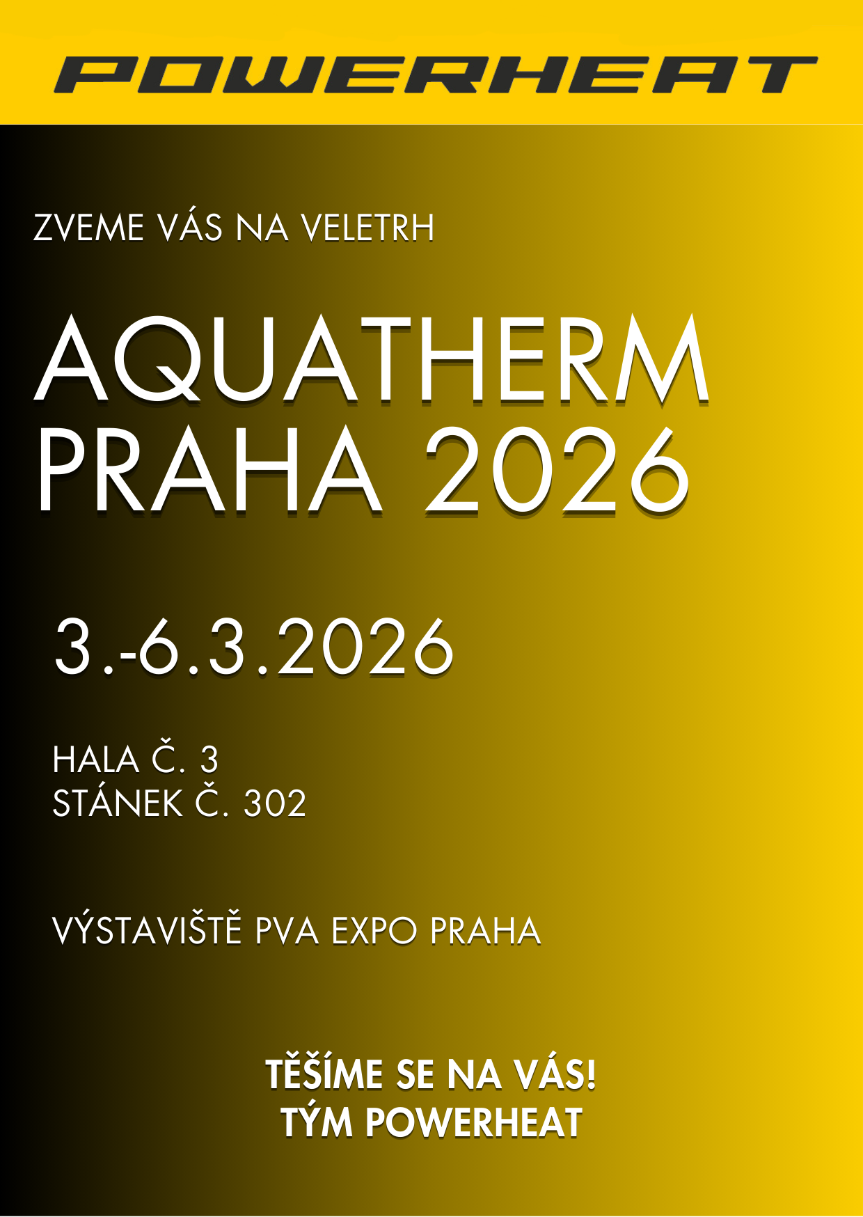 Black and Gold Christmas Party Invitation